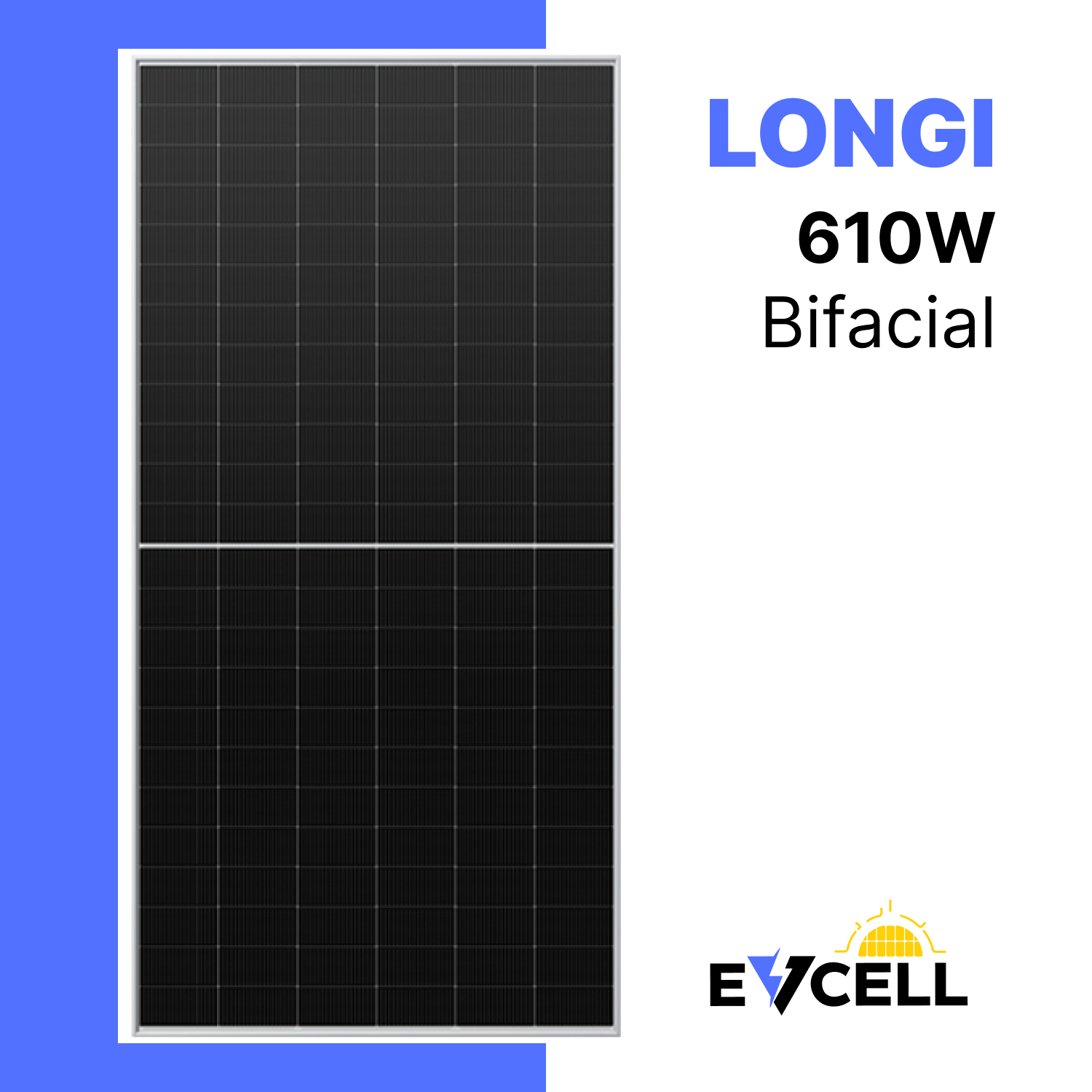 Longi LR8-66 HGD-610M Bifacial